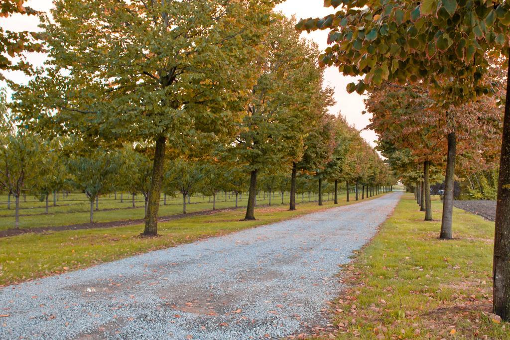 Agriturismo La Lupa Madonna della Provvidenza Zewnętrze zdjęcie